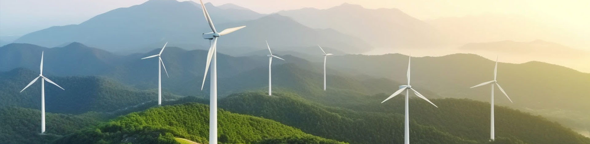 引领风光循环产业新篇章，共筑可持续发展的梦想